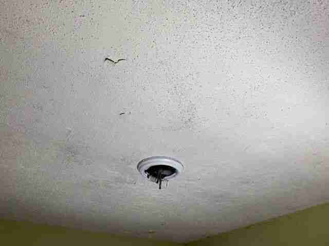 Testing again(52).jpg